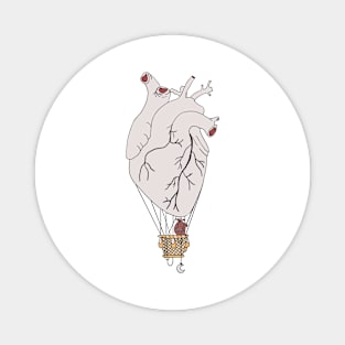 Anatomy heart design Magnet